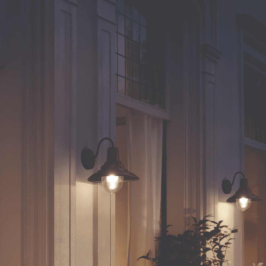 Philips Cormorant Outdoor Wall light