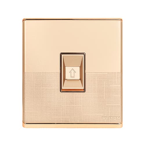 Walton Fiona Series Data Socket (WFDS)